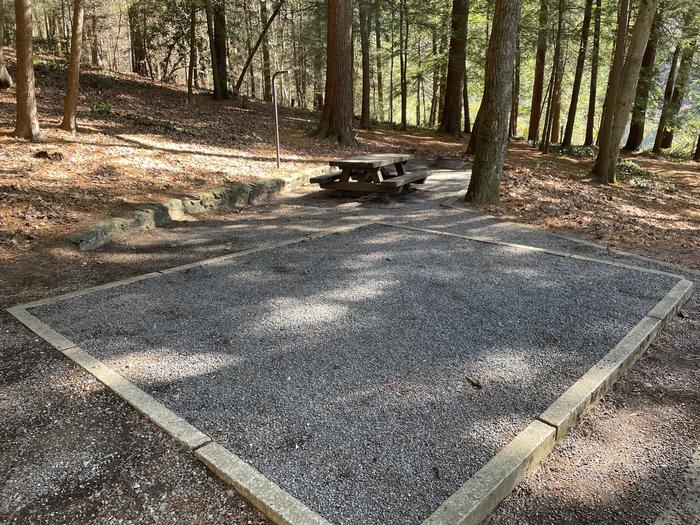 A photo of Site 24 of Loop Lower at Lake Conasauga Campground with Picnic Table, Fire Pit, Shade, Tent Pad, Lantern Pole within.A photo of Site 24 of Loop Lower at Lake Conasauga Campground with Picnic Table, Fire Pit, Shade, Tent Pad, Lantern Pole