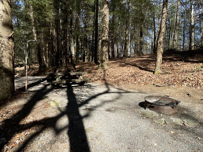 A photo of Site 29 of Loop Lower at Lake Conasauga Campground with Picnic Table, Fire Pit, Shade, Tent Pad, Lantern Pole side.A photo of Site 29 of Loop Lower at Lake Conasauga Campground with Picnic Table, Fire Pit, Shade, Tent Pad, Lantern Pole