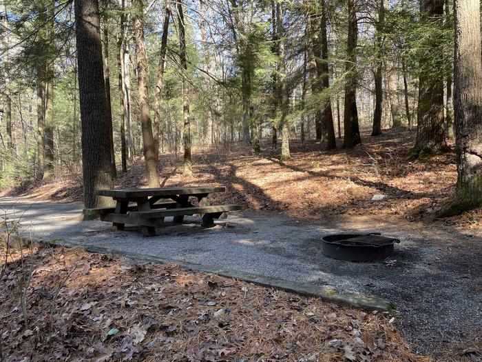 A photo of Site 26 of Loop Lower at Lake Conasauga Campground with Picnic Table, Fire Pit, Shade, Tent Pad, Lantern Pole within.A photo of Site 26 of Loop Lower at Lake Conasauga Campground with Picnic Table, Fire Pit, Shade, Tent Pad, Lantern Pole