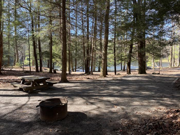 A photo of Site 18 of Loop Lower at Lake Conasauga Campground with Picnic Table, Fire Pit, Shade, Tent Pad, Lantern Pole from inside.A photo of Site 18 of Loop Lower at Lake Conasauga Campground with Picnic Table, Fire Pit, Shade, Tent Pad, Lantern Pole