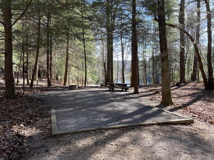 A photo of Site 18 of Loop Lower at Lake Conasauga Campground with Picnic Table, Fire Pit, Shade, Tent Pad, Lantern Pole from the front.A photo of Site 18 of Loop Lower at Lake Conasauga Campground with Picnic Table, Fire Pit, Shade, Tent Pad, Lantern Pole
