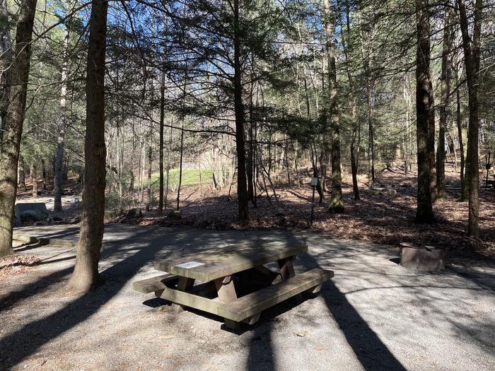 A photo of Site 18 of Loop Lower at Lake Conasauga Campground with Picnic Table, Fire Pit, Shade, Tent Pad, Lantern Pole from beside.A photo of Site 18 of Loop Lower at Lake Conasauga Campground with Picnic Table, Fire Pit, Shade, Tent Pad, Lantern Pole