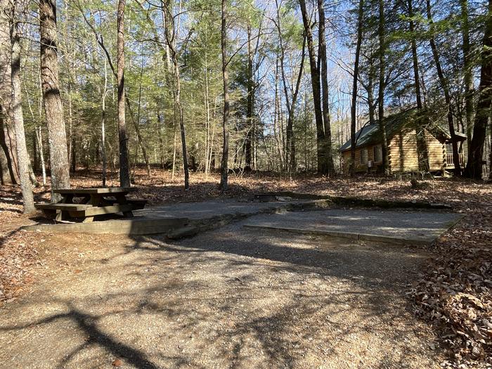 A photo of Site 13 of Loop Lower at Lake Conasauga Campground with Picnic Table, Fire Pit, Shade, Tent Pad, Lantern Pole from front.A photo of Site 13 of Loop Lower at Lake Conasauga Campground with Picnic Table, Fire Pit, Shade, Tent Pad, Lantern Pole