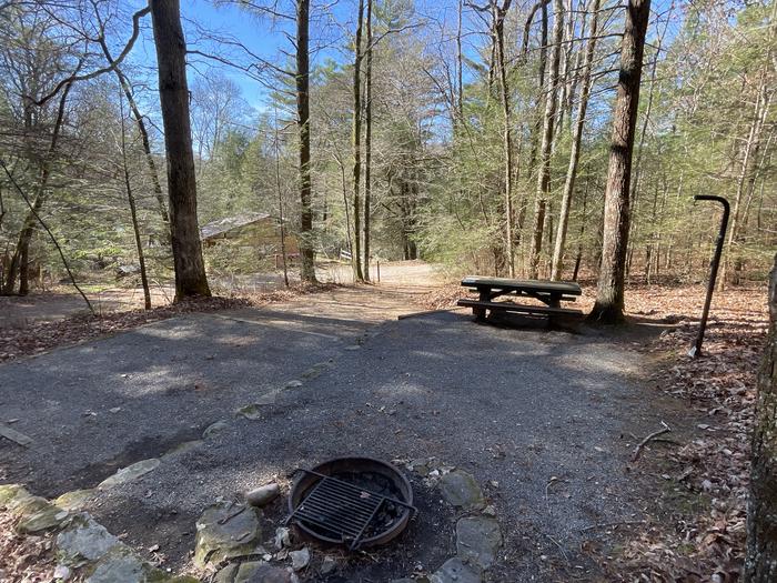 A photo of Site 13 of Loop Lower at Lake Conasauga Campground with Picnic Table, Fire Pit, Shade, Tent Pad, Lantern Pole from within.A photo of Site 13 of Loop Lower at Lake Conasauga Campground with Picnic Table, Fire Pit, Shade, Tent Pad, Lantern Pole