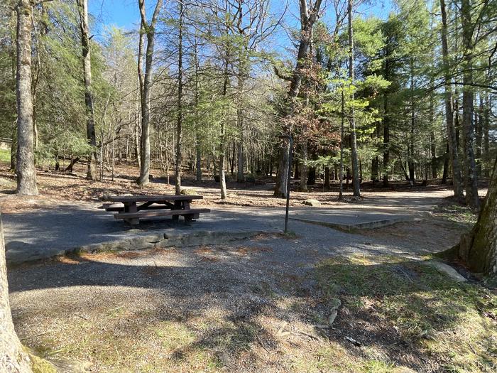 A photo of Site 19 of Loop Lower at Lake Conasauga Campground with Picnic Table, Fire Pit, Shade, Tent Pad, Waterfront, Lantern Pole from below.A photo of Site 19 of Loop Lower at Lake Conasauga Campground with Picnic Table, Fire Pit, Shade, Tent Pad, Waterfront, Lantern Pole