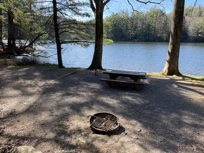 A photo of Site 19 of Loop Lower at Lake Conasauga Campground with Picnic Table, Fire Pit, Shade, Tent Pad, Waterfront, Lantern Pole from above.A photo of Site 19 of Loop Lower at Lake Conasauga Campground with Picnic Table, Fire Pit, Shade, Tent Pad, Waterfront, Lantern Pole
