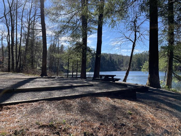 A photo of Site 21 of Loop Lower at Lake Conasauga Campground with Picnic Table, Fire Pit, Shade, Tent Pad, Waterfront, Lantern Pole from back.A photo of Site 21 of Loop Lower at Lake Conasauga Campground with Picnic Table, Fire Pit, Shade, Tent Pad, Waterfront, Lantern Pole.