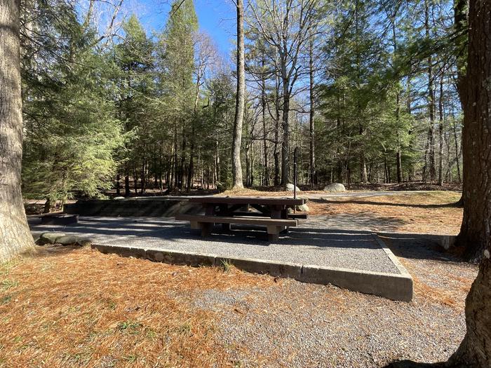 A photo of Site 21 of Loop Lower at Lake Conasauga Campground with Picnic Table, Fire Pit, Shade, Tent Pad, Waterfront, Lantern Pole from beside.A photo of Site 21 of Loop Lower at Lake Conasauga Campground with Picnic Table, Fire Pit, Shade, Tent Pad, Waterfront, Lantern Pole