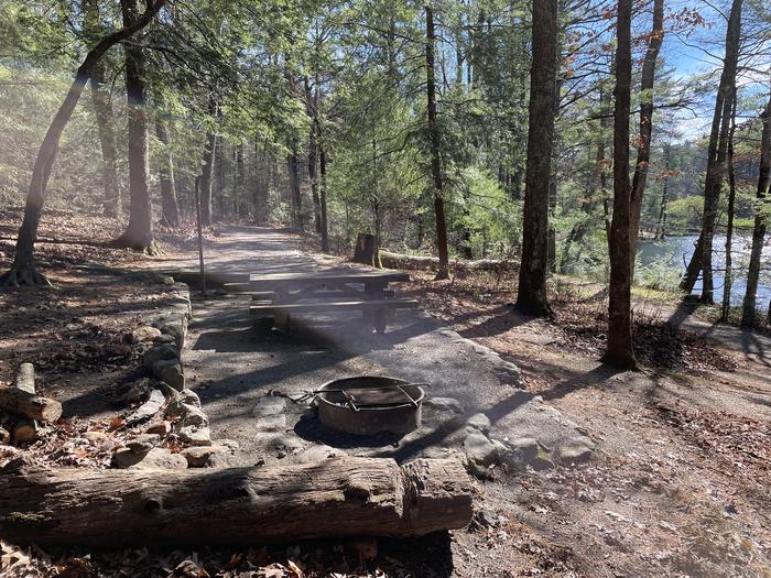 A photo of Site 16 of Loop Lower at Lake Conasauga Campground with Picnic Table, Fire Pit, Shade, Tent Pad, Waterfront, Lantern Pole from within.A photo of Site 16 of Loop Lower at Lake Conasauga Campground with Picnic Table, Fire Pit, Shade, Tent Pad, Waterfront, Lantern Pole