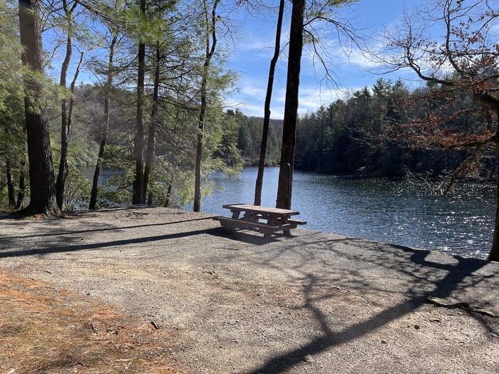 A photo of Site 22 of Loop Lower at Lake Conasauga Campground with Picnic Table, Fire Pit, Shade, Tent Pad, Waterfront, Lantern Pole from above.A photo of Site 22 of Loop Lower at Lake Conasauga Campground with Picnic Table, Fire Pit, Shade, Tent Pad, Waterfront, Lantern Pole
