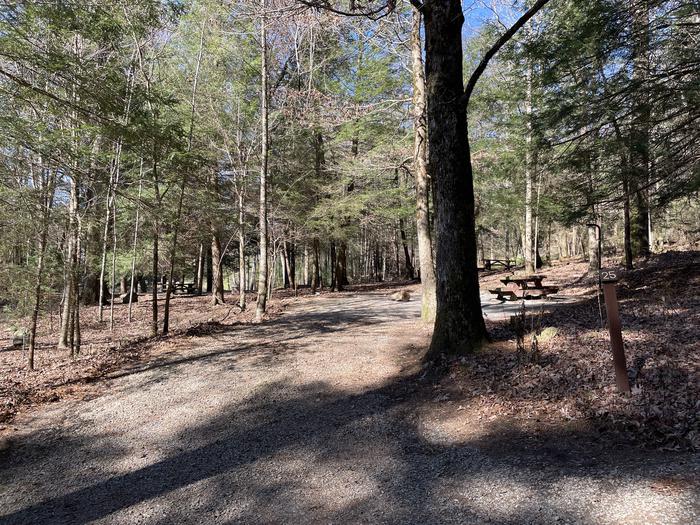 A photo of Site 25 of Loop Lower at Lake Conasauga Campground with Picnic Table, Fire Pit, Shade, Tent Pad, Lantern Pole entrance.A photo of Site 25 of Loop Lower at Lake Conasauga Campground with Picnic Table, Fire Pit, Shade, Tent Pad, Lantern Pole