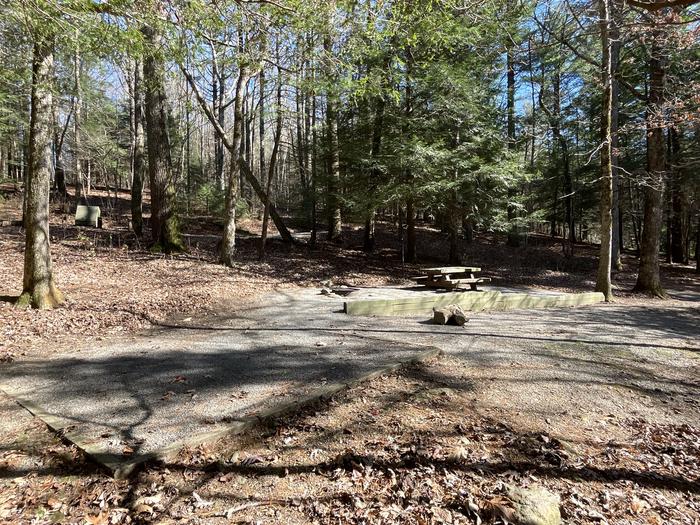 A photo of Site 25 of Loop Lower at Lake Conasauga Campground with Picnic Table, Fire Pit, Shade, Tent Pad, Lantern Pole beside.A photo of Site 25 of Loop Lower at Lake Conasauga Campground with Picnic Table, Fire Pit, Shade, Tent Pad, Lantern Pole