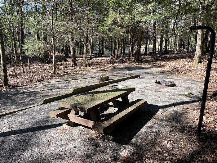 A photo of Site 25 of Loop Lower at Lake Conasauga Campground with Picnic Table, Fire Pit, Shade, Tent Pad, Lantern Pole within.A photo of Site 25 of Loop Lower at Lake Conasauga Campground with Picnic Table, Fire Pit, Shade, Tent Pad, Lantern Pole
