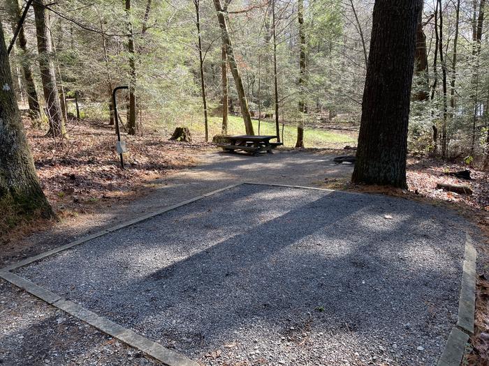 A photo of Site 15 of Loop Lower at Lake Conasauga Campground with Picnic Table, Fire Pit, Shade, Tent Pad, Lantern Pole