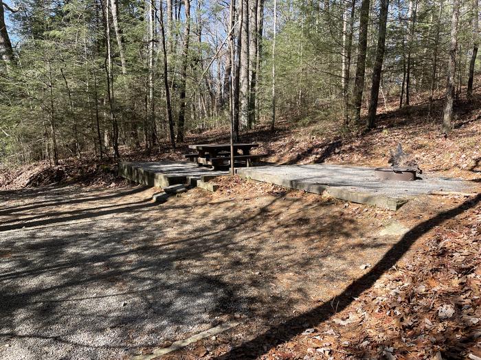 A photo of Site 14 of Loop Lower at Lake Conasauga Campground with Picnic Table, Fire Pit, Shade, Tent Pad, Lantern Pole from back.A photo of Site 14 of Loop Lower at Lake Conasauga Campground with Picnic Table, Fire Pit, Shade, Tent Pad, Lantern Pole