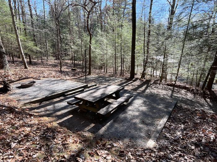 A photo of Site 14 of Loop Lower at Lake Conasauga Campground with Picnic Table, Fire Pit, Shade, Tent Pad, Lantern Pole from above.A photo of Site 14 of Loop Lower at Lake Conasauga Campground with Picnic Table, Fire Pit, Shade, Tent Pad, Lantern Pole