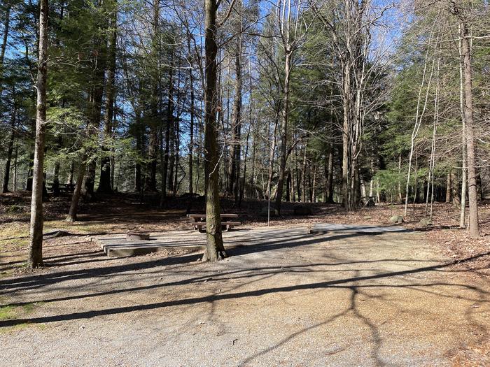 A photo of Site 23 of Loop Lower at Lake Conasauga Campground with Picnic Table, Fire Pit, Shade, Tent Pad, Lantern Pole from entrance.A photo of Site 23 of Loop Lower at Lake Conasauga Campground with Picnic Table, Fire Pit, Shade, Tent Pad, Lantern Pole