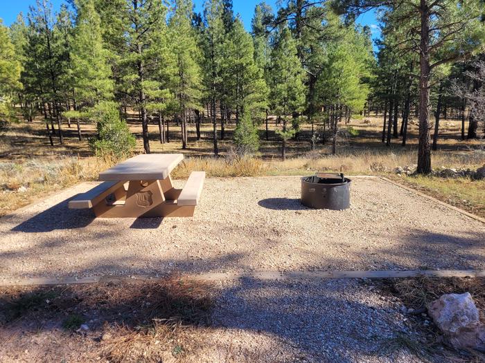 Elk Loop Site 6, one picnic table and fire grill with tent pad
