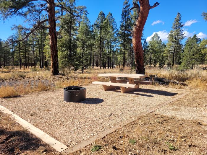 Elk Loop Site 7 with one picnic table, a fire ring, and tent pad
