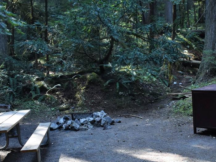 Picnic table, bear box, and fire grate with trees in the background. Walk-in campsite.