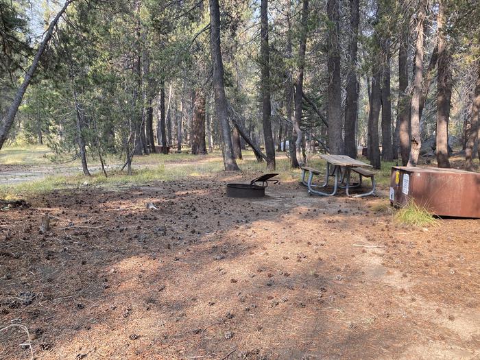 Porcupine Flat Site # 8 Tent area