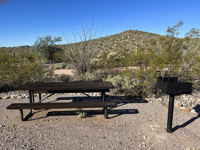 A picnic table sits near a grill and desert vegetation.Each site has a picnic table and grill.