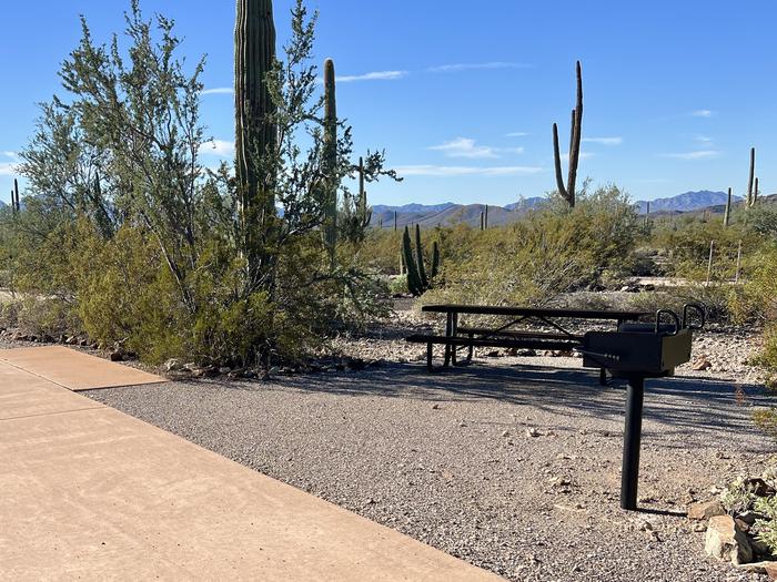 Pull-thru campsite with picnic table and grill, surrounded by cactus and desert vegetation.