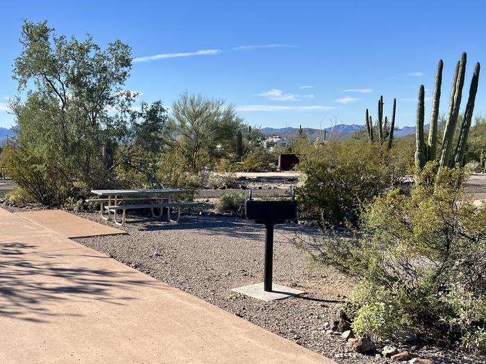 Pull-thru campsite with picnic table and grill, surrounded by cactus and desert vegetation.