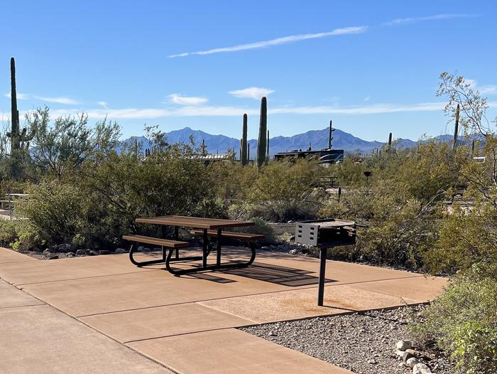 Pull-thru campsite with picnic table and grill, surrounded by cactus and desert vegetation. Handicap logo painted on the ground