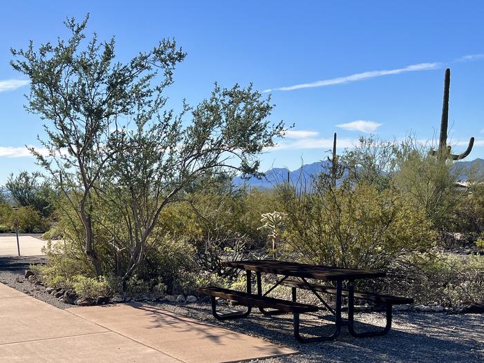 Pull-thru campsite with picnic table and grill, surrounded by cactus and desert vegetation.