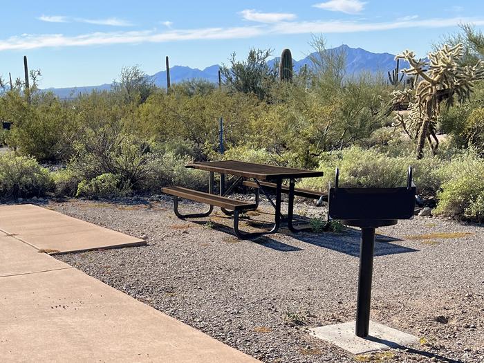 Pull-thru campsite with picnic table and grill, surrounded by cactus and desert vegetation.