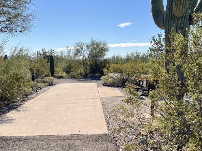 Pull-thru campsite with picnic table and grill, surrounded by cactus and desert vegetation.The entrance into Site 103