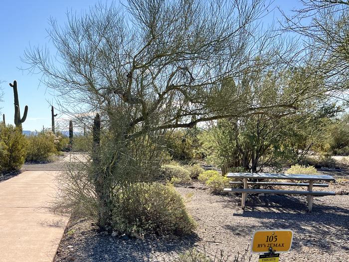 Pull-thru campsite with picnic table and grill, surrounded by cactus and desert vegetation.