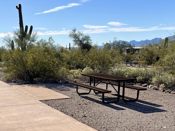 Pull-thru campsite with picnic table and grill, surrounded by cactus and desert vegetation.