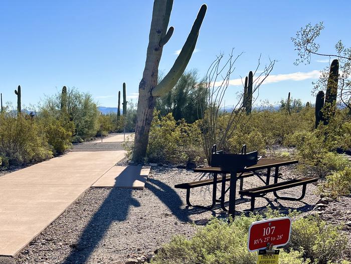 Pull-thru campsite with picnic table and grill, surrounded by cactus and desert vegetation.The entrance into Site 107