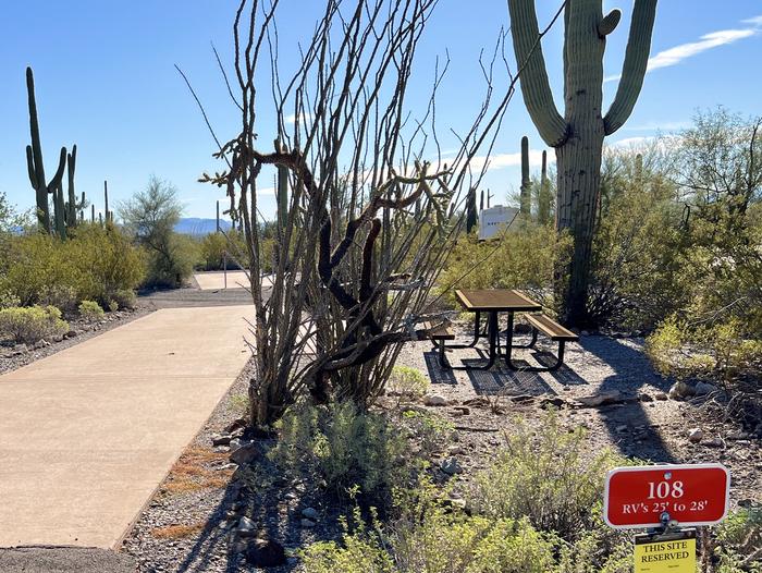Pull-thru campsite with picnic table and grill, surrounded by cactus and desert vegetation.The entrance into Site 108