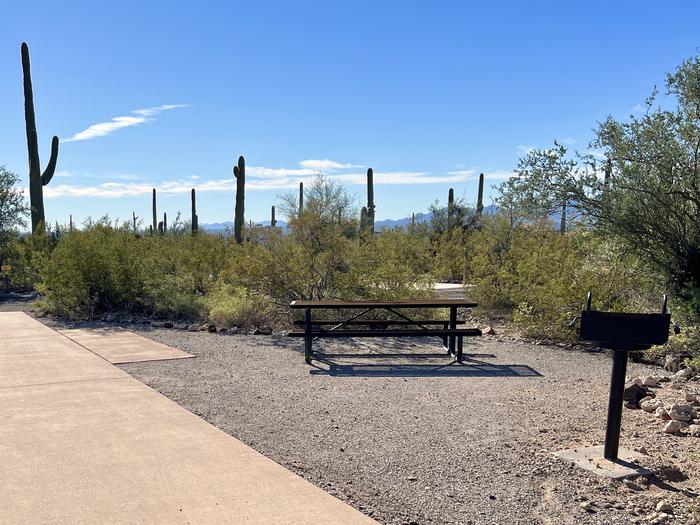 Pull-thru campsite with picnic table and grill, surrounded by cactus and desert vegetation.