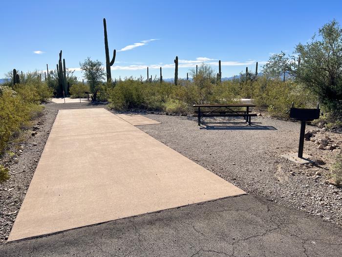 The driveway of the site surrounded by desert plants.The entrance into the site.