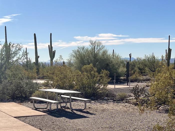 Pull-thru campsite with picnic table and grill, surrounded by cactus and desert vegetation.