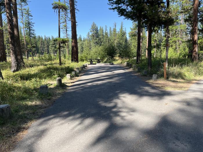 A photo of Site RPS20 at River Point Lolo Campground (MT) with Campsite Driveway shown.A photo of Site RPS20 at River Point Lolo Campground (MT) with Campsite Driveway shown. 