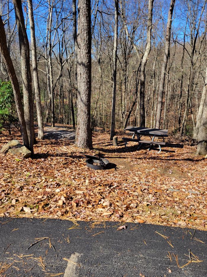 Late Fall picture of picnic table, fire ring, and tent pad.