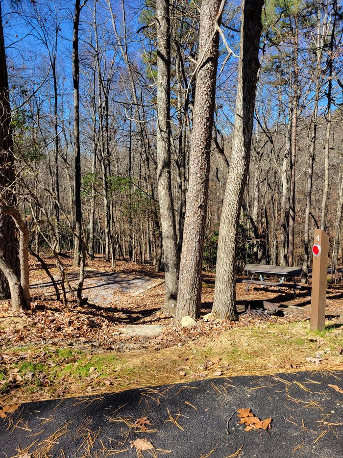 View from parking pad showing tent pad, picnic table, and fire ring.Picture from parking pad showing tent pad, picnic table, and fire ring.