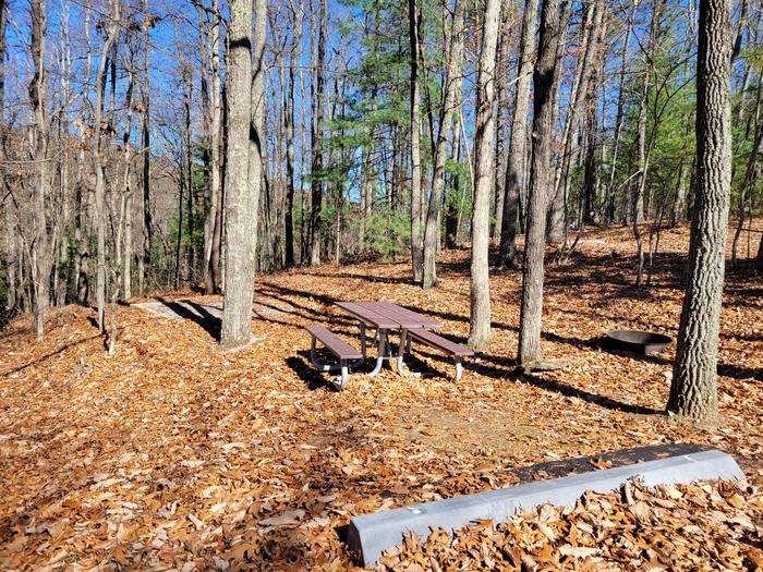 A late Fall view of the picnic table, tent pad, and fire ring at site 7.