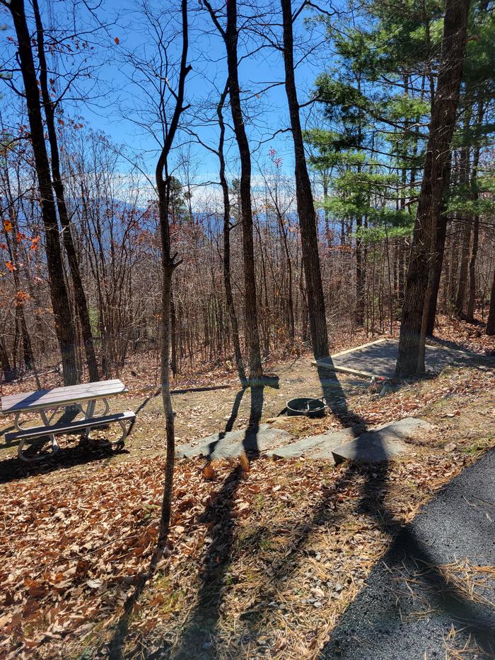 A look at the stairs leading down to the picnic table, tent pad, and fire ring from the parking pad of site 10.