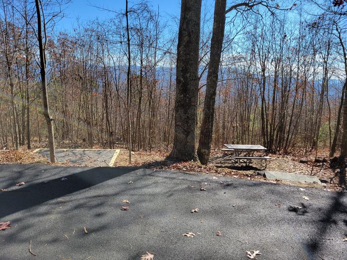 View from parking pad of tent pad, picnic table, and fire ring.