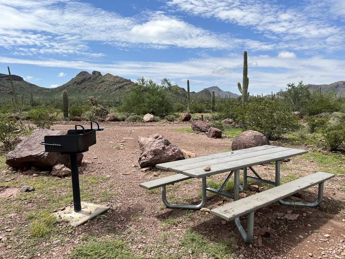 A picnic table sits near a grill and desert vegetation Each site has a picnic table and grill and is surrounded by cacti and other desert plants.