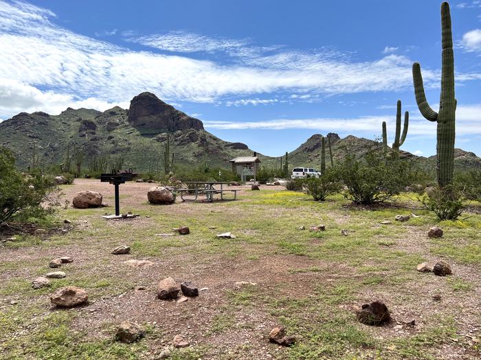 The large tent pad of the site with the picnic table and grill nearby.Each site has tent pad, picnic table and grill and is surrounded by cacti and other desert plants.