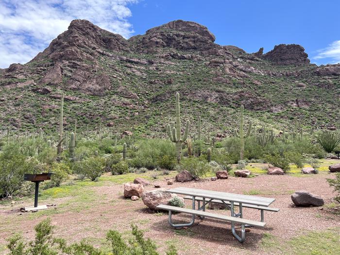 A picnic table sits near a grill and desert vegetation.Each site has a picnic table and grill and is surrounded by cacti.