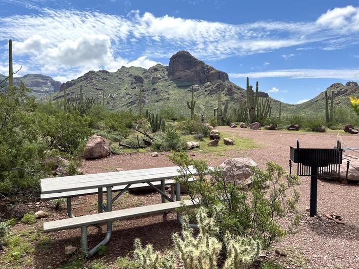 A picnic table sits near a grill and desert vegetation.Each site has a picnic table and grill and is surrounded by cacti and other desert plants.