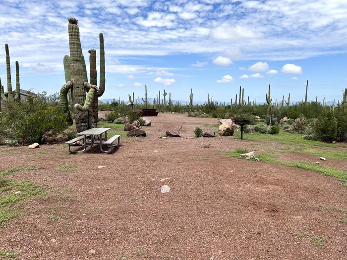 A picnic table sits near desert vegetation.Each site has a picnic table and grill and is surrounded by cacti and other desert plants.